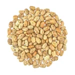 Pinto-Beans-(S_L)