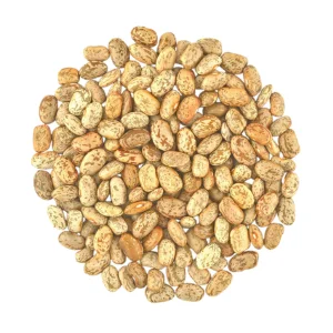 Pinto-Beans-(S_L)